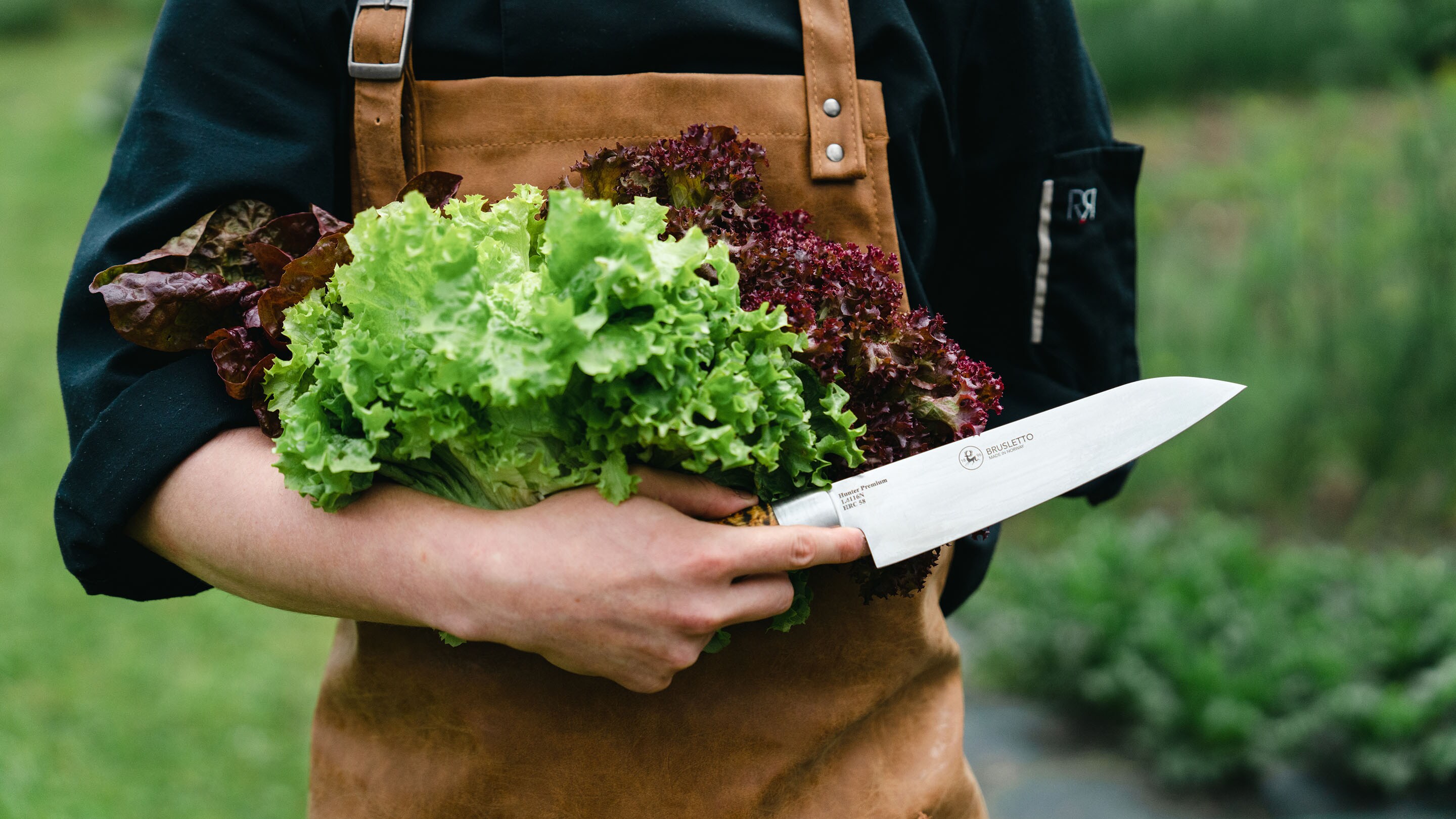 Take care of your kitchen knives