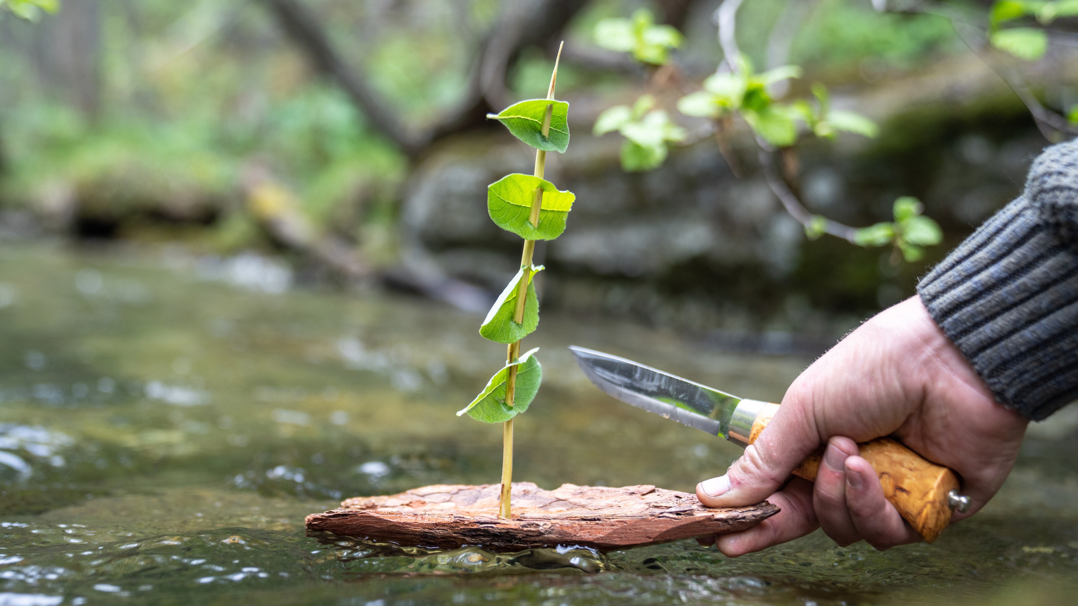 How to make a bark boat?